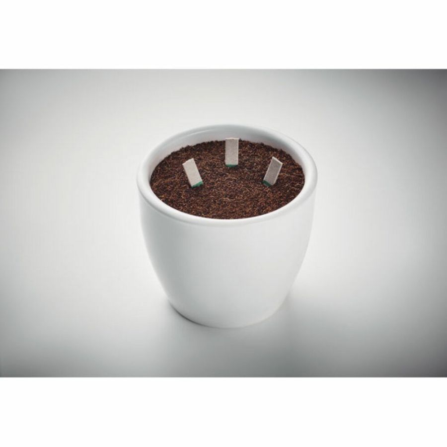 Palitos hierbas con semillas merchandising Leyti